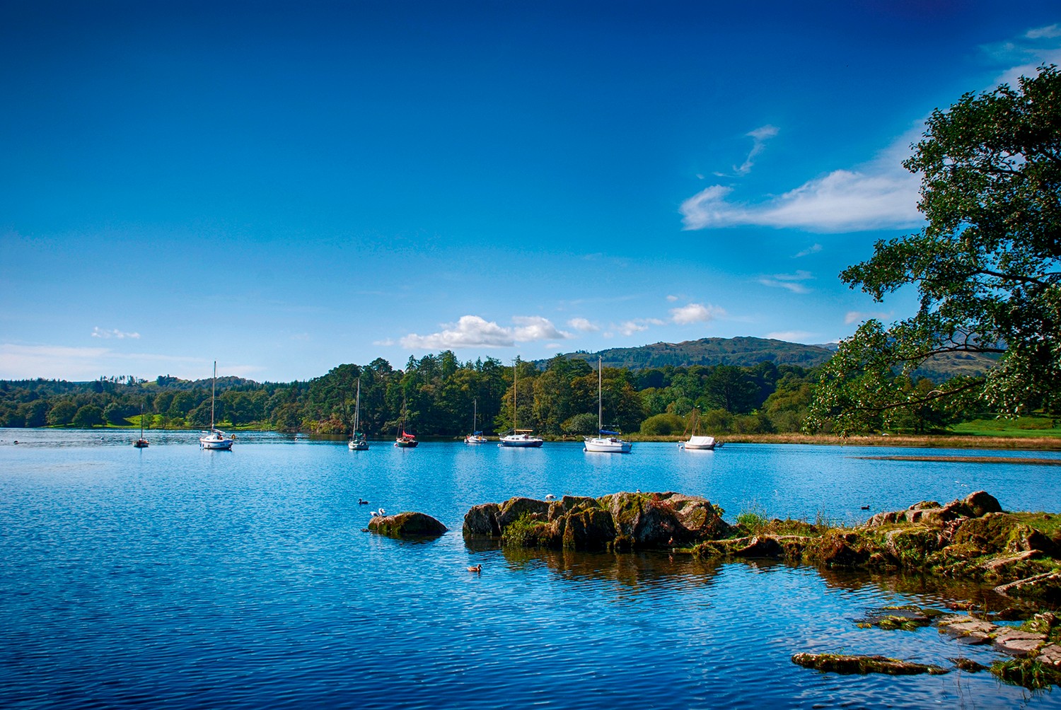 Things to Do in Lake District Places to Visit Haven