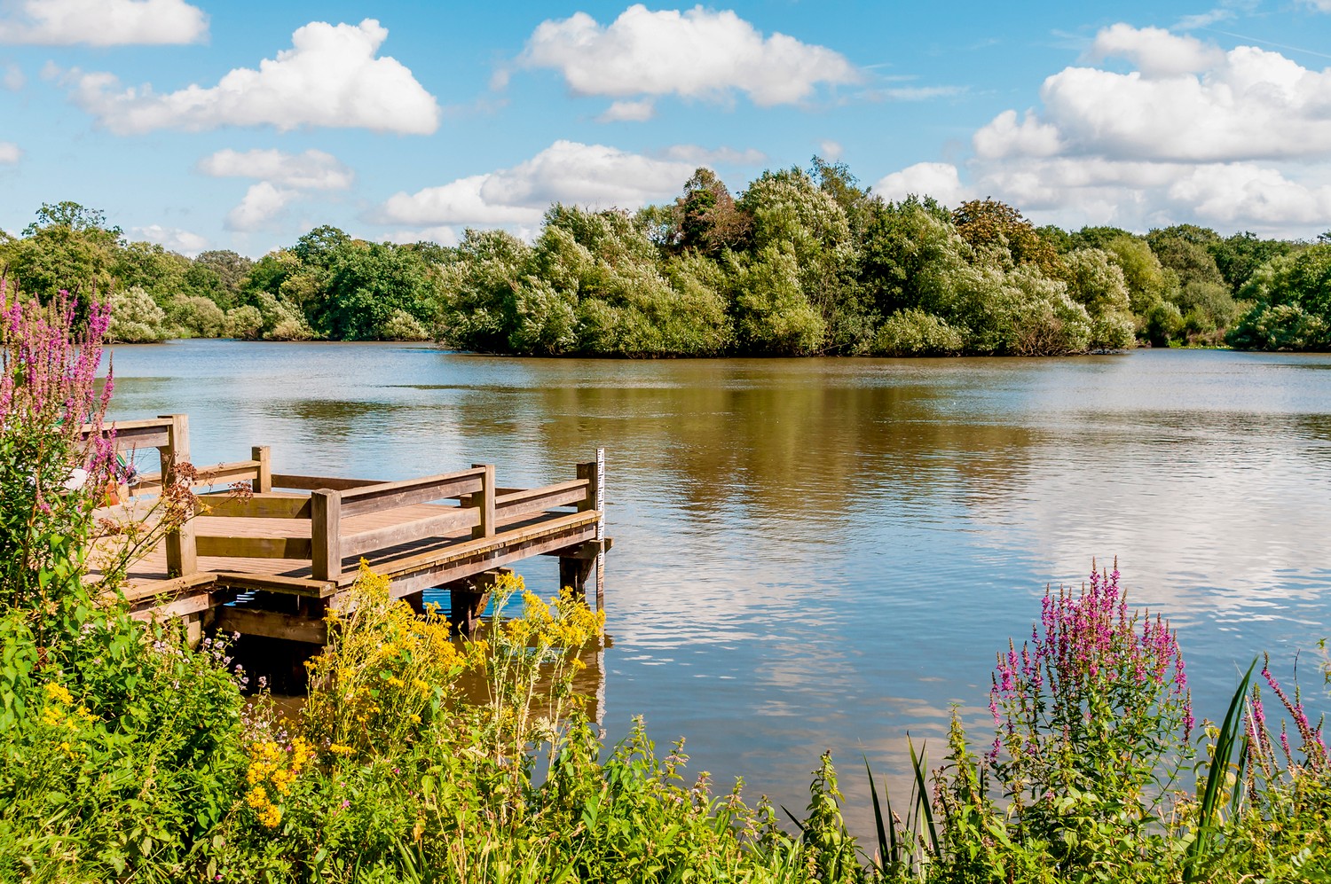 Things To Do In Essex Places To Visit Haven 